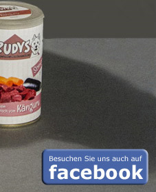 Frudys-facebook